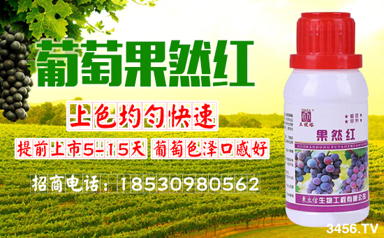Ҫ���������������ɫ�ã�����Ʒ�ʸߣ���ũ��Ҫ��������