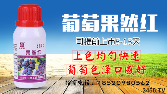 Ҫ���������������ɫ�ã�����Ʒ�ʸߣ���ũ��Ҫ��������