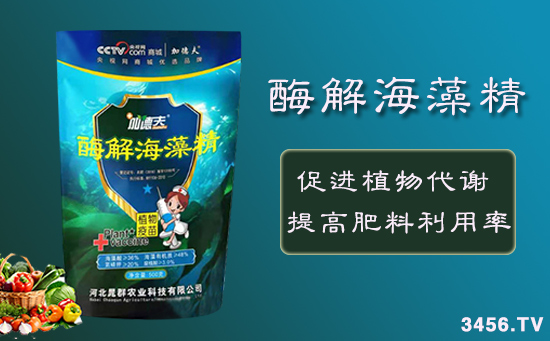 ���徫Ϊʲô��ôǿ������Ҫ��Ľ��ࣿ