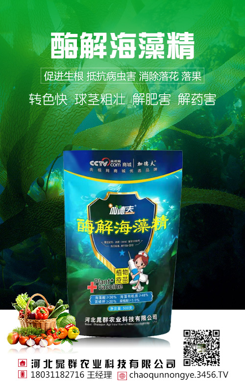 ���徫Ϊʲô��ôǿ������Ҫ��Ľ��ࣿ