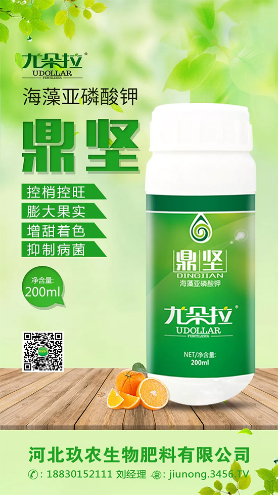 �������PK�����������أ�˭Ӯ�ˣ�