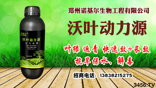 Һ�嵪��Ϊʲô���Զ������أ��������֪���ˣ�