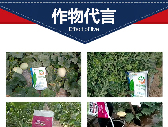 英国卡迪夫（北京）农业科技有限公司产品_07.jpg