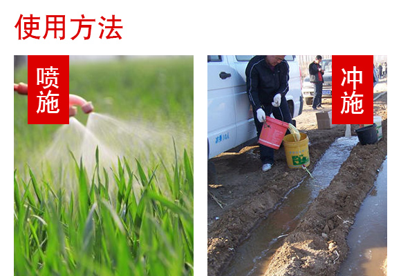江苏狮邦化肥开发有限公司产品详情页1_06.jpg