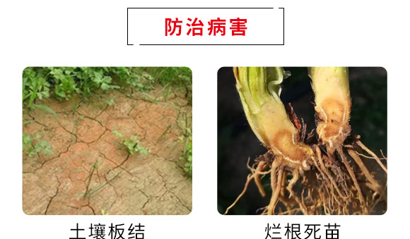 德诺恩（青岛）生物科技有限公司3_06.jpg