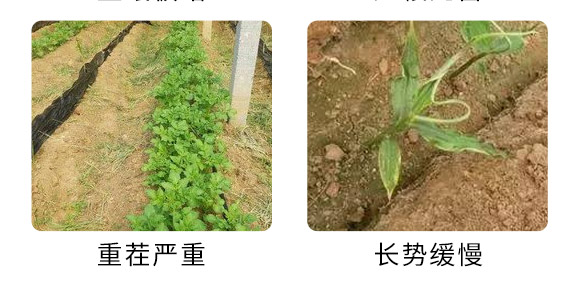 德诺恩（青岛）生物科技有限公司3_07.jpg