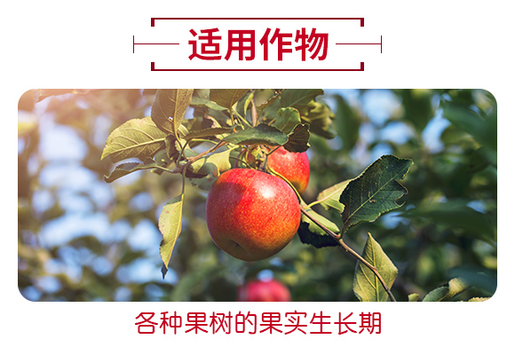 壮花延粉·内酯（果树专用）_06.jpg