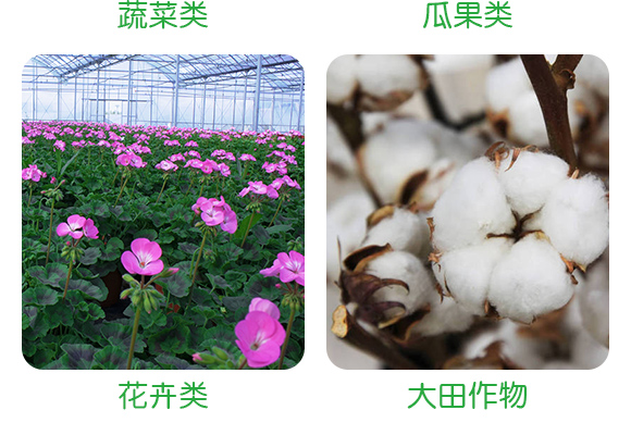 哈茨·枯草芽孢杆菌（枯黄萎病害专用）_05.jpg