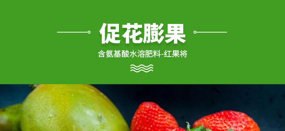 河南蓝月农业科技有限公司2_06.jpg