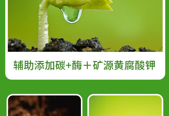河南蓝月农业科技有限公司2_09.jpg
