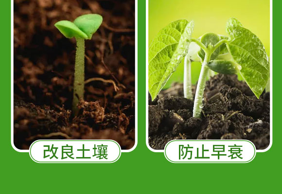 河南蓝月农业科技有限公司2_10.jpg