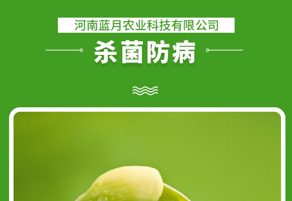 河南蓝月农业科技有限公司3_08.jpg