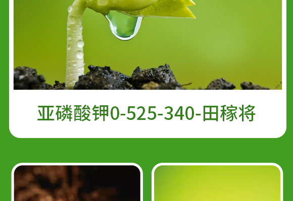 河南蓝月农业科技有限公司3_09.jpg