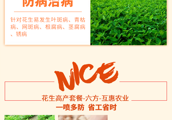 郑州互惠农业科技有限公司_05.png