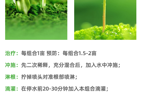 上海禾盼农业科技有限公司_11.jpg
