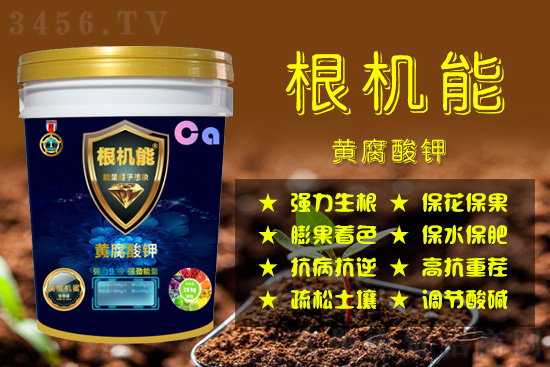 �Ƹ����Ϊʲô��ʹ��Ч��������⼸�����棬�������ɷ�����