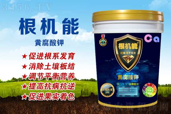 �Ƹ����Ϊʲô��ʹ��Ч��������⼸�����棬�������ɷ�����