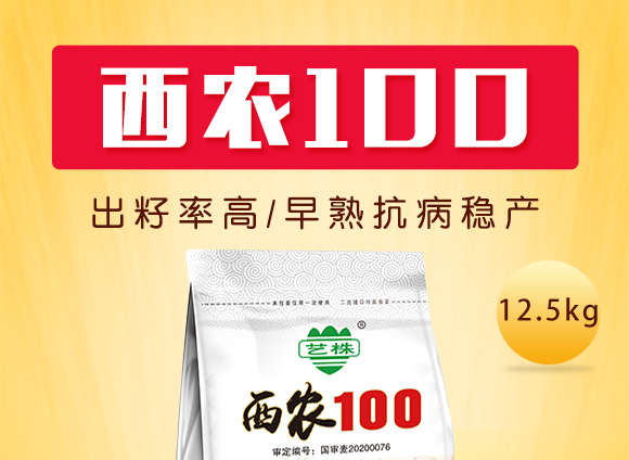 辉县市豫北种业有限公?西农100_01.jpg