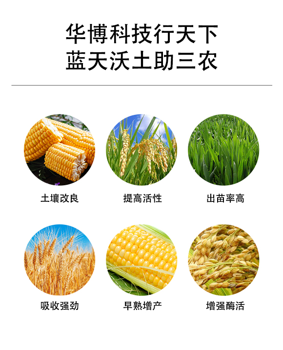 玉米水稻通用掺混肥料24-8-8-华博天下_02.jpg