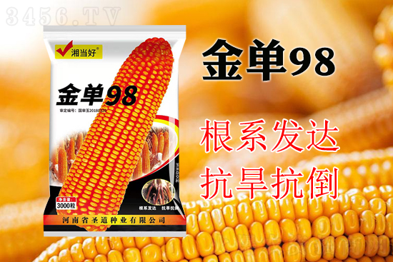 玉米4.jpg