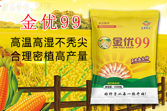 金优99-玉米种子-坔育种业1.jpg