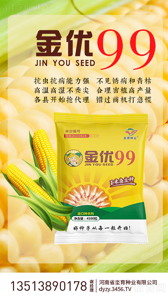 金优99-玉米种子-坔育种业3.jpg
