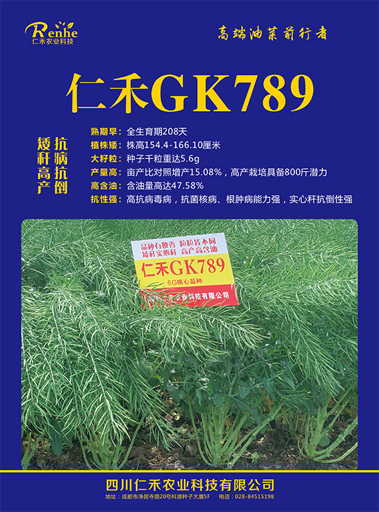 油菜种子-仁禾GK789-仁禾农业2.jpg