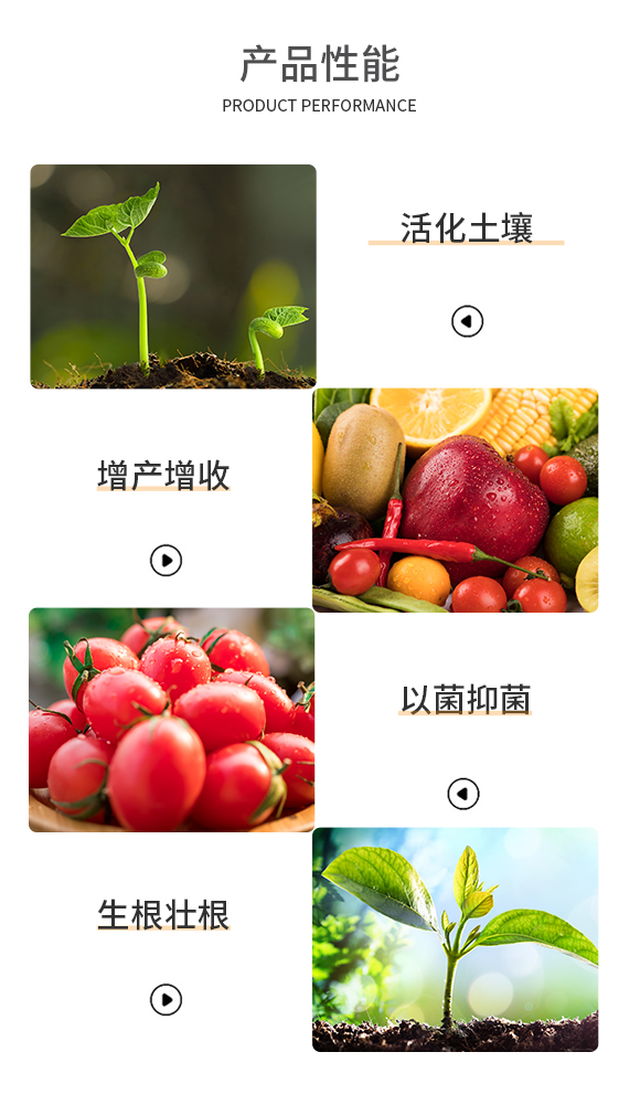 河南中本立农农业科技有限公司_03.jpg
