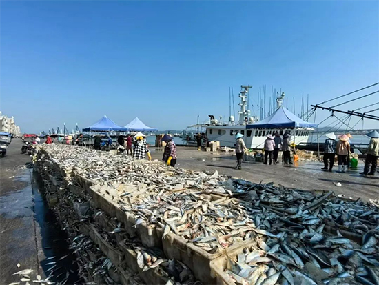 东莞市林氏生物技术股份有限公?2.jpg