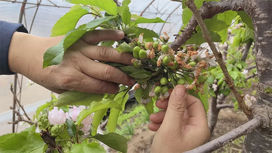 江苏雷力佳化生物科技有限公司14.jpg