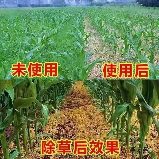 河南铭盛生物科技有限公司1.jpg