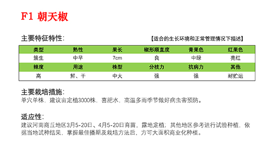 北京春奥-火焰山朝天椒品种简介_01.jpg