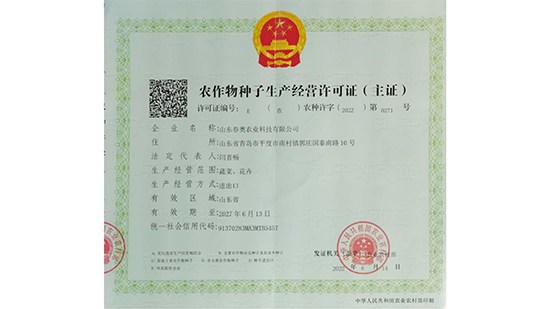 Company-profile---chino_07.jpg
