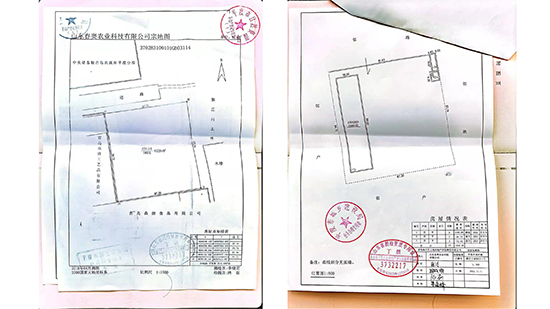 Company-profile---chino_12.jpg