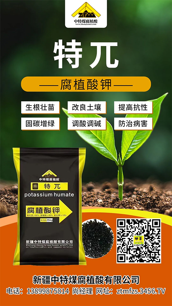 新疆中特煤腐植酸有限公司2.jpg