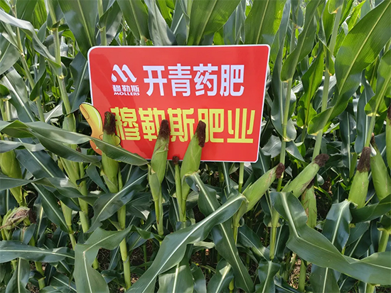 穆勒斯肥业有限公�?.jpg