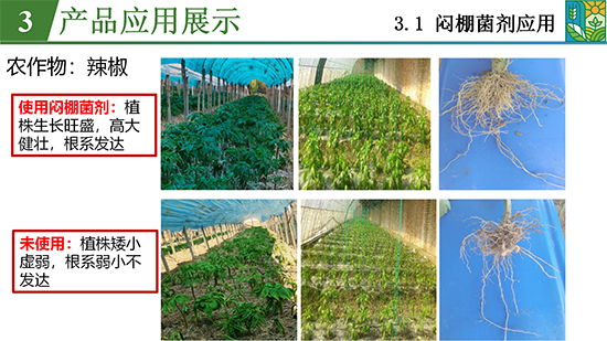 菌吾细研农业篇_22.jpg