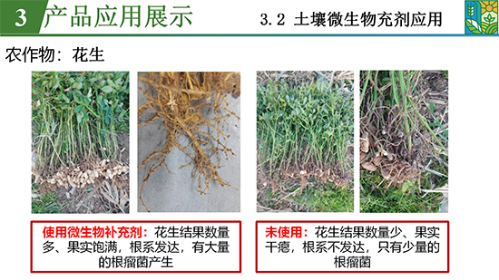 菌吾细研农业篇_25.jpg