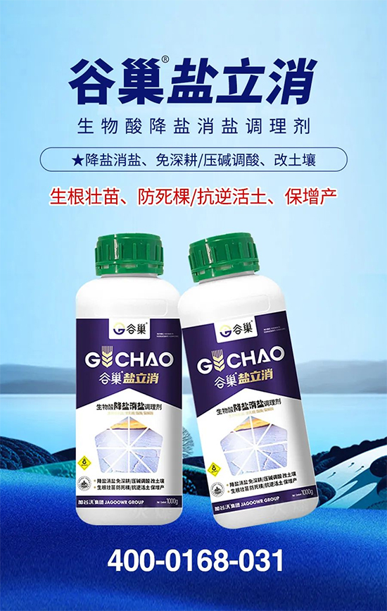 加谷�?.jpg
