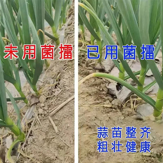 河南沃土生物科技有限公司3.jpg