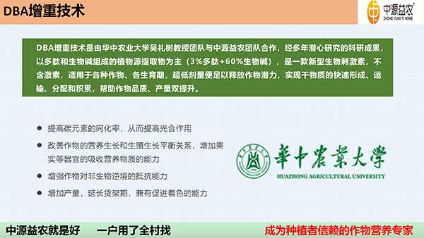 DBA增重剂_08.jpg