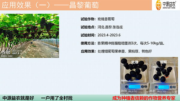 DBA增重剂_18.jpg