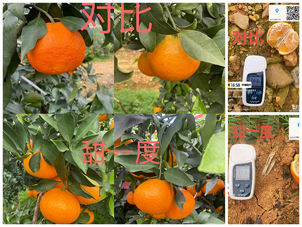 寰俊鍥剧墖_20250315090242.jpg 寰俊鍥剧墖_20250315090242.jpg
