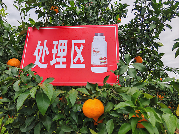 寰俊鍥剧墖_20250315090247.jpg 寰俊鍥剧墖_20250315090247.jpg