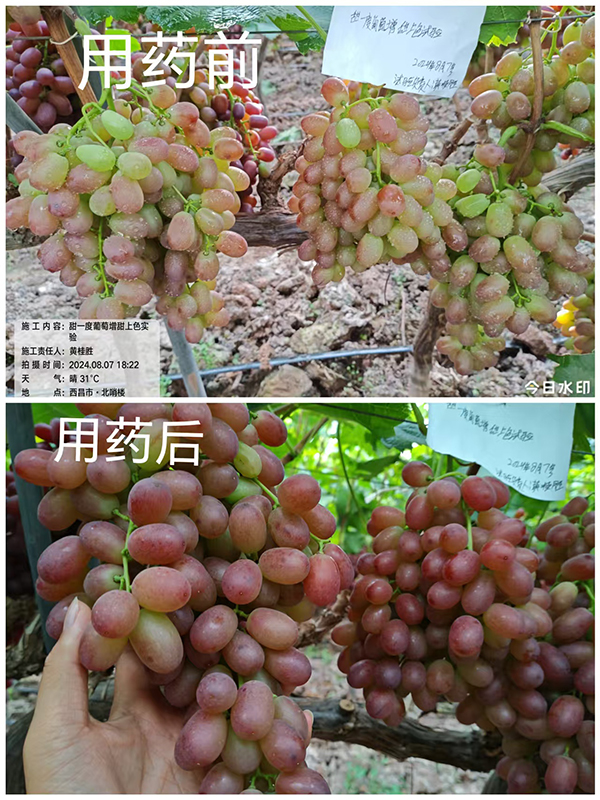 寰俊鍥剧墖_20250315090314.jpg 寰俊鍥剧墖_20250315090314.jpg