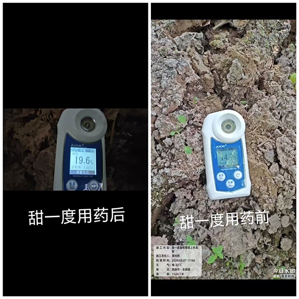 寰俊鍥剧墖_20250315090318.jpg 寰俊鍥剧墖_20250315090318.jpg