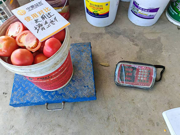 寰俊鍥剧墖_20250315090448.jpg 寰俊鍥剧墖_20250315090448.jpg