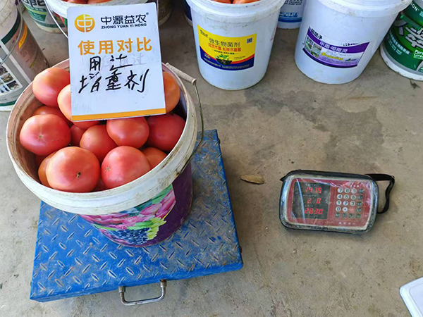 寰俊鍥剧墖_20250315090451.jpg 寰俊鍥剧墖_20250315090451.jpg