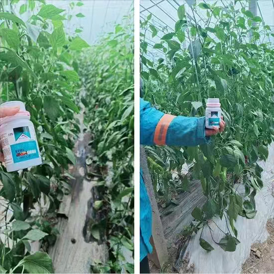 河南沃土生物科技有限公司1.jpg