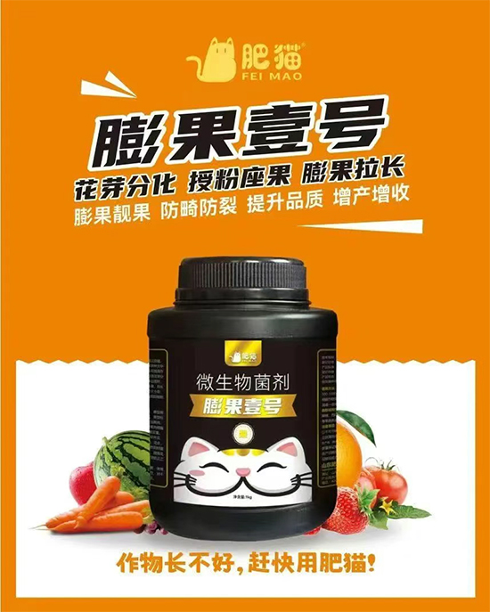 山东肥猫农业科技有限公司4.jpg